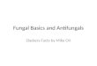 Fungal Basics and  Antifungals