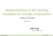 Understanding of the limiting condition for ductile components