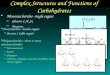 Complex Structures and Functions of Carbohydrates