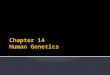Chapter 14 Human Genetics
