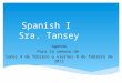 Spanish I  Sra. Tansey