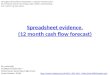 Spreadsheet evidence. (12 month cash flow forecast)