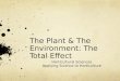 The Plant & The Environment: The Total Effect