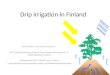 Drip irrigation  in Finland