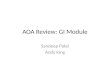 AOA Review: GI Module