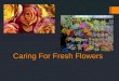 Caring For Fresh Flowers