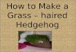 How to Make a Grass – haired Hedgehog