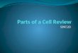 Parts of a Cell Review