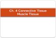 Ch. 4 Connective Tissue Muscle Tissue