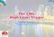 The CMS  High  Level Trigger