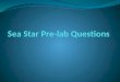 Sea Star Pre-lab Questions