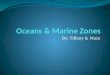 Oceans & Marine Zones