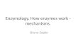 Enzymology . How enzymes work - mechanisms