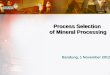 Process Selection  of Mineral Processing