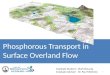 Phosphorous Transport in Surface Overland  Flow