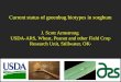 Current status of  greenbug  biotypes in sorghum J . Scott Armstrong