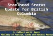 Steelhead Status Update for British Columbia