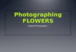Photographing FLOWERS