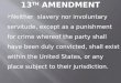 13 th  Amendment