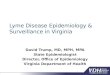 Lyme Disease Epidemiology & Surveillance in Virginia