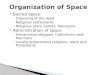 Organization of Space