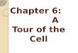 Chapter 6:              A Tour of the Cell