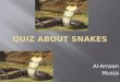 Quiz about SNAKES