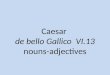 Caesar  de  bello Gallico   VI.13 nouns-adjectives
