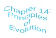 Chapter 14: Principles  of  Evolution