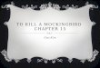 To Kill a mockingbird  Chapter 15