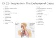 Ch 22- Respiration- The Exchange of Gases