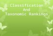 Classification And Taxonomic Rankings