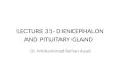 LECTURE 31- DIENCEPHALON AND PITUITARY GLAND