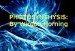 PHOTOSYNTHYSIS: By Winton Horning