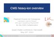 CMS heavy-ion overview