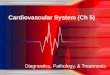 Cardiovascular System ( Ch  5)