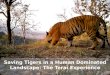 Saving Tigers in a Human  D ominated Landscape: The  Terai  Experience