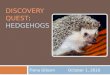 Discovery Quest : HEDGEHOGS