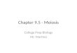 Chapter 9.5 - Meiosis