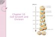 Chapter 10  Cell Growth and Division