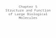 Chapter 5 Structure and Function of Large Biological Molecules