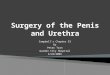 Surgery of the Penis and Urethra