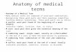 Anatomy of medical terms