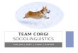 Team Corgi sociolinguistics