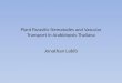 Plant Parasitic Nematodes and Vascular Transport in Arabidopsis Thaliana