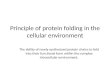 Principle of protein folding in the cellular environment