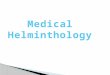 Medical  Helminthology