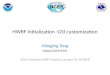 HWRF Initialization -GSI customization