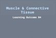 Muscle & Connective Tissue