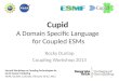 Cupid A Domain Specific Language  for Coupled ESMs